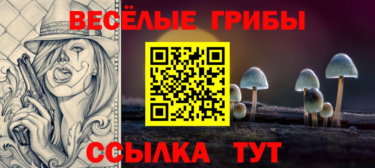 Красногорск  Псилоцибиновые грибы Cubensis  Псилоцибиновые грибы GOLDEN TEACHER  Вход с VPN 