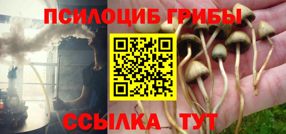 Псилоцибиновые грибы прущие грибы Красногорск